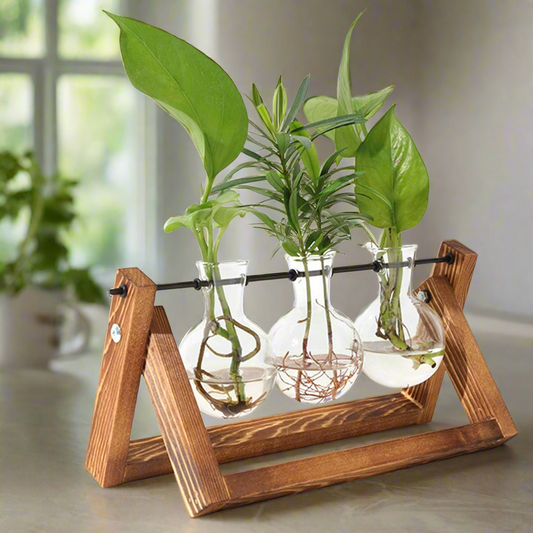 Tabletop Plant Propagation Station - Bulb Plant Terrarium with Wooden Stand