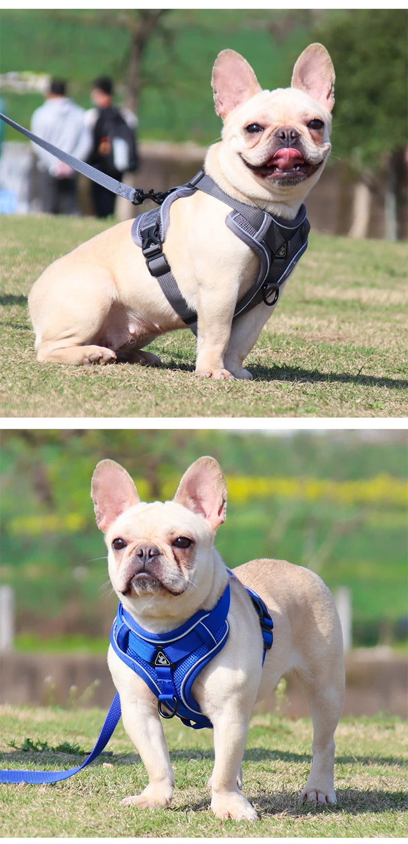 No Pull Dog Harness and Leash Set Adjustable Pet Harness Vest For Small Dogs, Reflective Mesh Dog Chest Strap French Bulldog