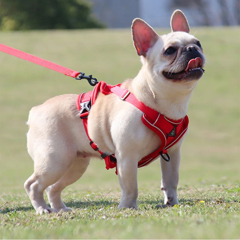 No Pull Dog Harness and Leash Set Adjustable Pet Harness Vest For Small Dogs, Reflective Mesh Dog Chest Strap French Bulldog