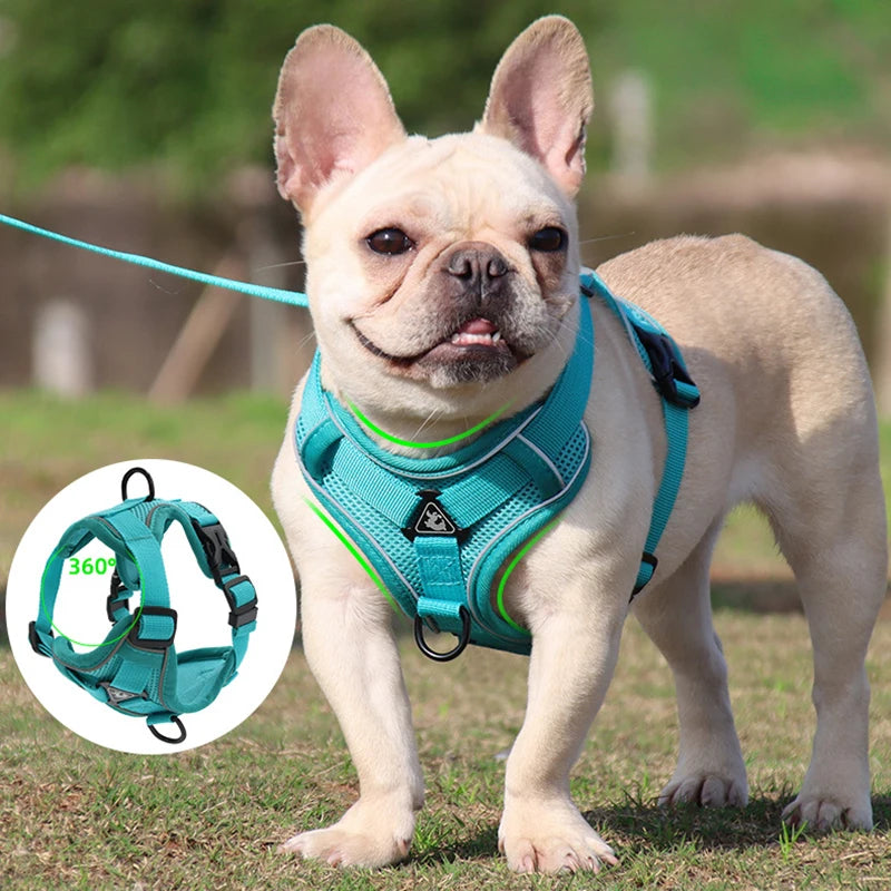 No Pull Dog Harness and Leash Set Adjustable Pet Harness Vest For Small Dogs, Reflective Mesh Dog Chest Strap French Bulldog