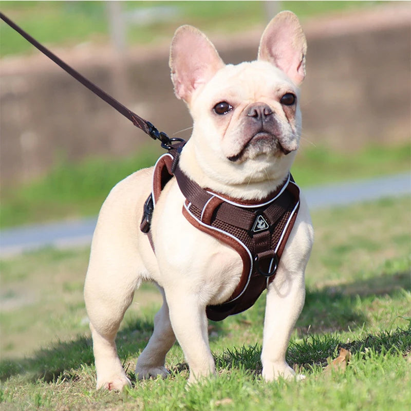 No Pull Dog Harness and Leash Set Adjustable Pet Harness Vest For Small Dogs, Reflective Mesh Dog Chest Strap French Bulldog